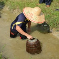 kegiatan.jpg