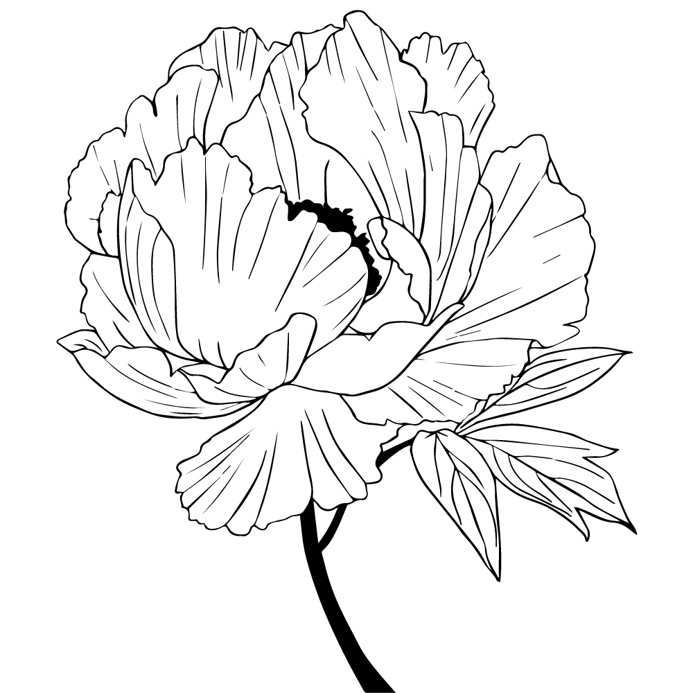 Writer: The Chinoiseries