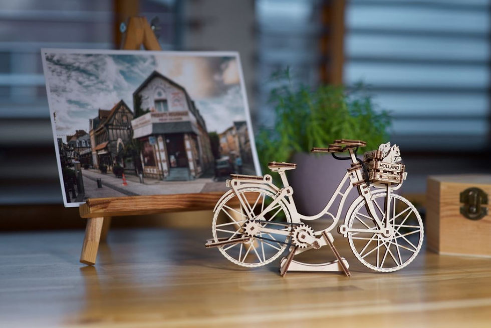 Thumbnail: Dutch Bicycle