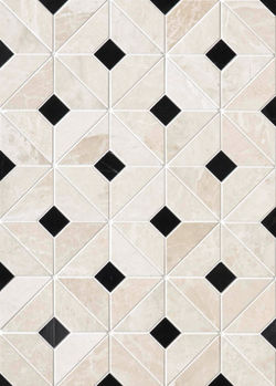 Aura_French_Vanilla_Tulip_Black_edited