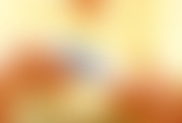 Bonitas Diabetes Program