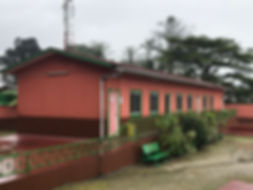 IMG_5100.jpeg