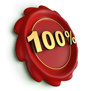 100 Percent.png