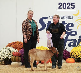 562365641_122104038285058751_22639364517