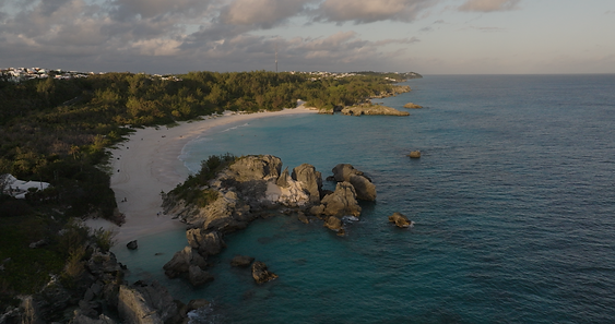DRONE_SELECTS-COLORED.00_03_44_47.Still011.png