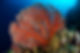 NC1_6091_edited.jpg