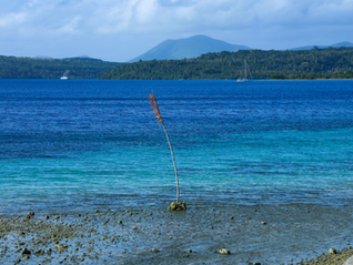 Government of Vanuatu Passes Historic Ocean Act, Returning Coastal Stewardship to Communities and Strengthening National Prosperity