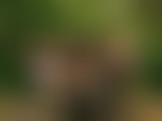 The Joy Is the Point: Why The World Needs SNACKTIME