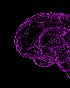 brain-1787622_1920.jpg