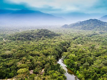 Arriving in the land of mountains, swamps and tropical jungle