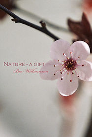 Nature - a gift