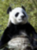 Edin zoo.jpg
