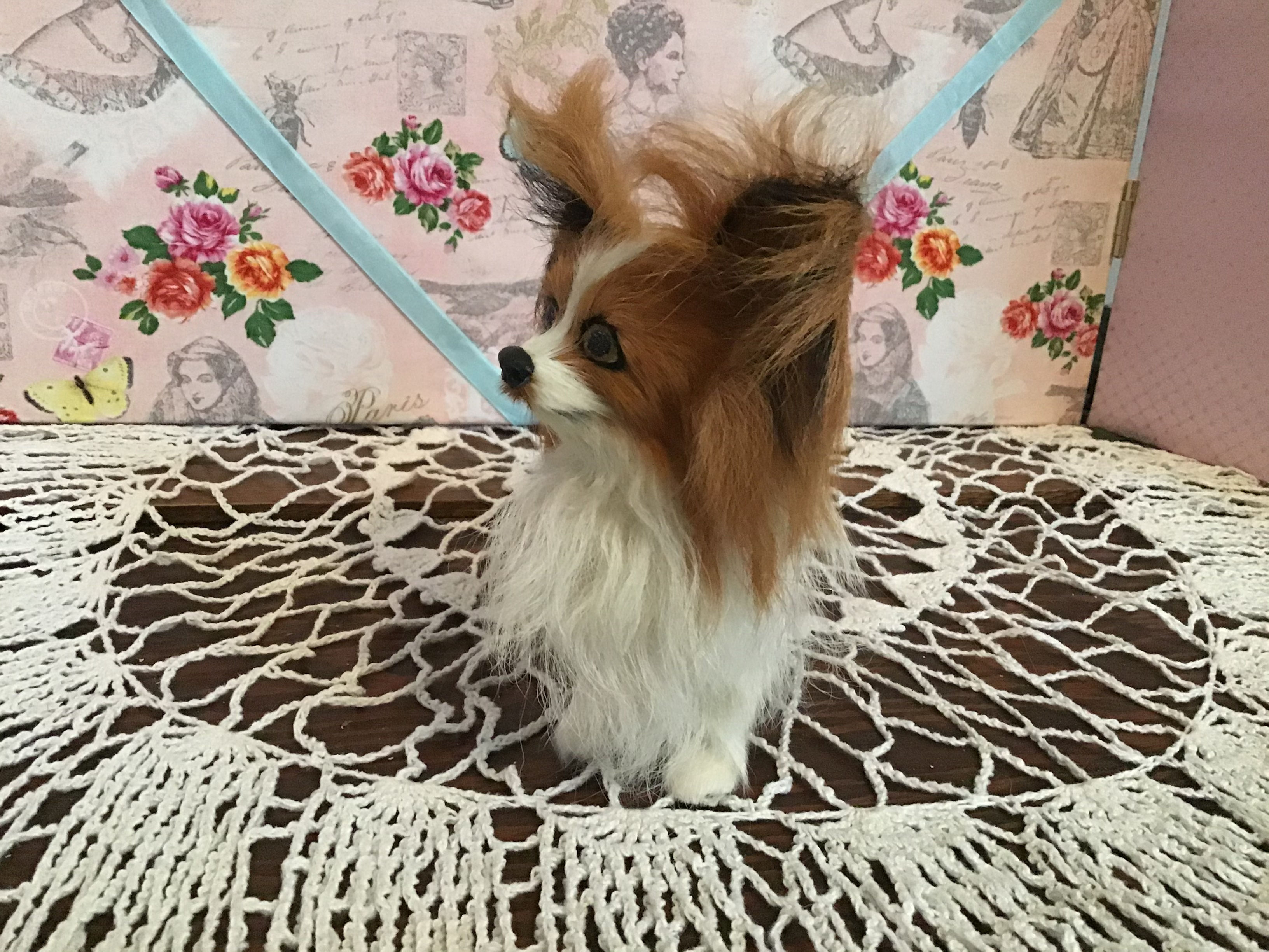 Papillon Dog Small