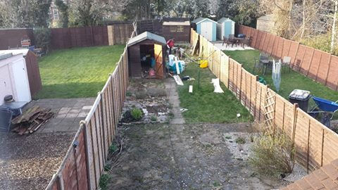 SHED PIC 4