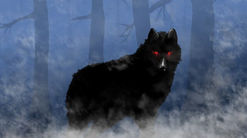 NEW VIGILS FOR 2018...!!!