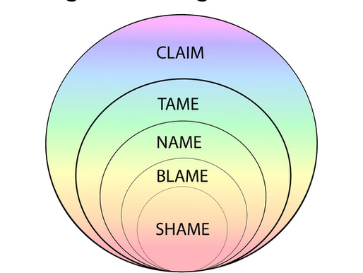 Concentric circles with rainbow gradient illustrate 5 stages of healing from trauma: Shame, Blame, Name, Tame, Claim. Text details at bottom.