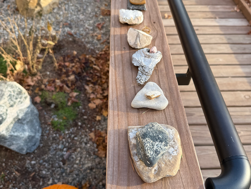 A line of “Welcoming Stones” arranged along a wooden railing outdoors, each stone unique in shape and color, with a pumpkin below and autumn leaves in the garden. Photo taken by Pamela Ruiter Feenstra.