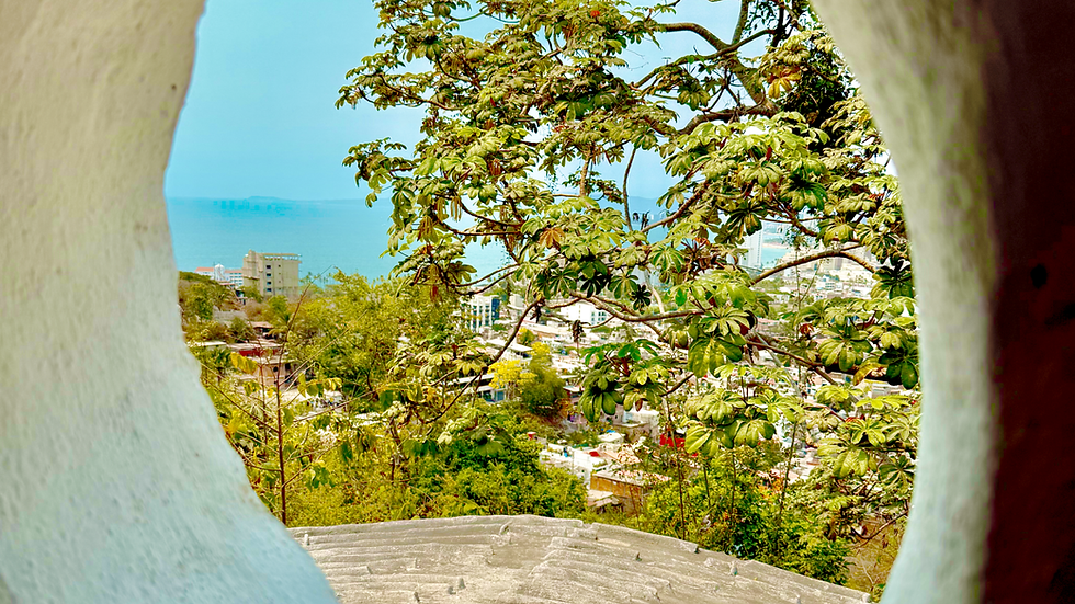A quiet view from Terra Noble Art and Healing Center in Puerto Vallarta, where the city, the ocean, and the surrounding trees meet in a soft embrace. Through the curved opening, the landscape reminds us of rest, belonging, and the ways nature holds our stories with gentle care. Photo by Pamela Ruiter Feenstra.