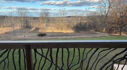 View from the retreat center looking out over an open field, winter trees, and soft afternoon light, framed by a wooden railing made of branch-like patterns. Photo taken by Pamela Ruiter Feenstra.