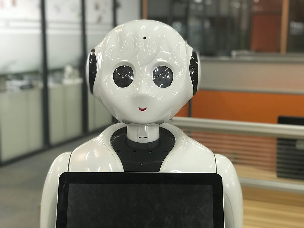 Thumbnail: Alice Robot(13.3" screen)