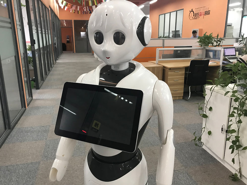 Thumbnail: Alice Robot(13.3" screen)