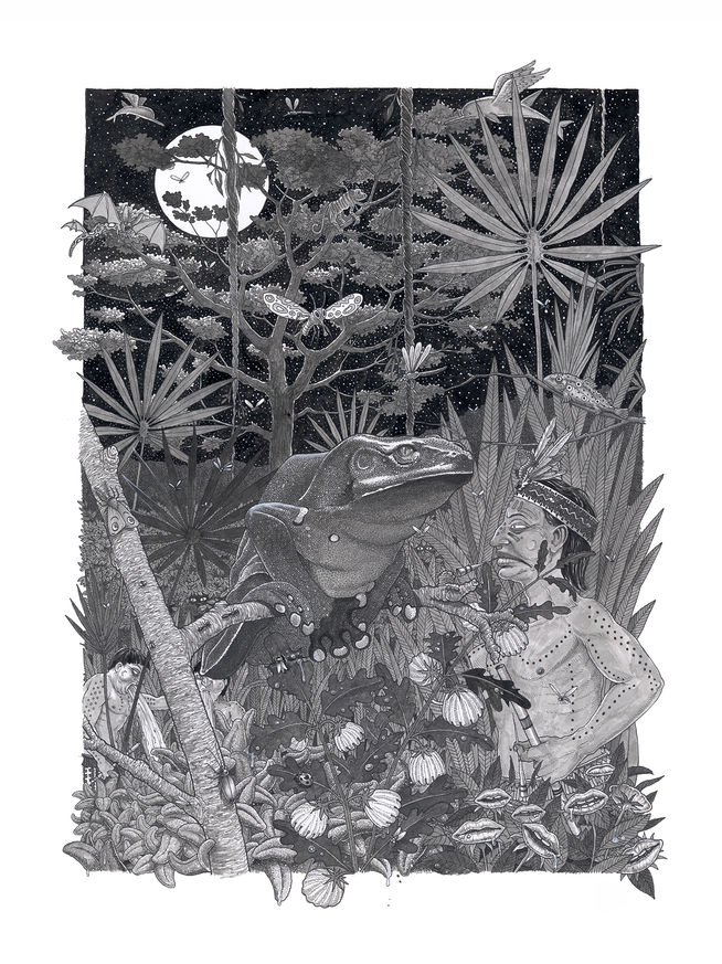 002 KAMBO FOREST.jpg