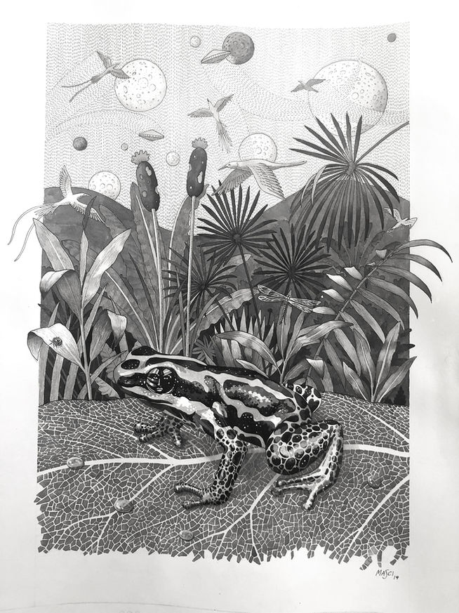 020 FOREST WITH POISON DART FROG.jpg