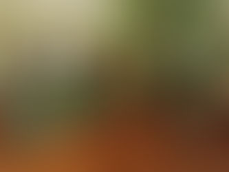 Must-See Displays at Our Historical Museum