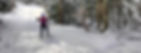 cross-country-skiing-coach.jpg