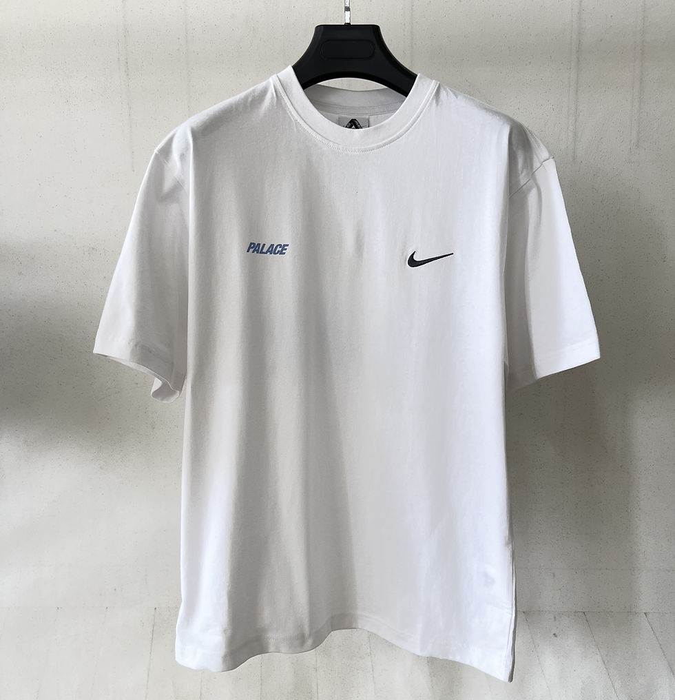 섬네일: Palace X Nike 26ss T-shirt