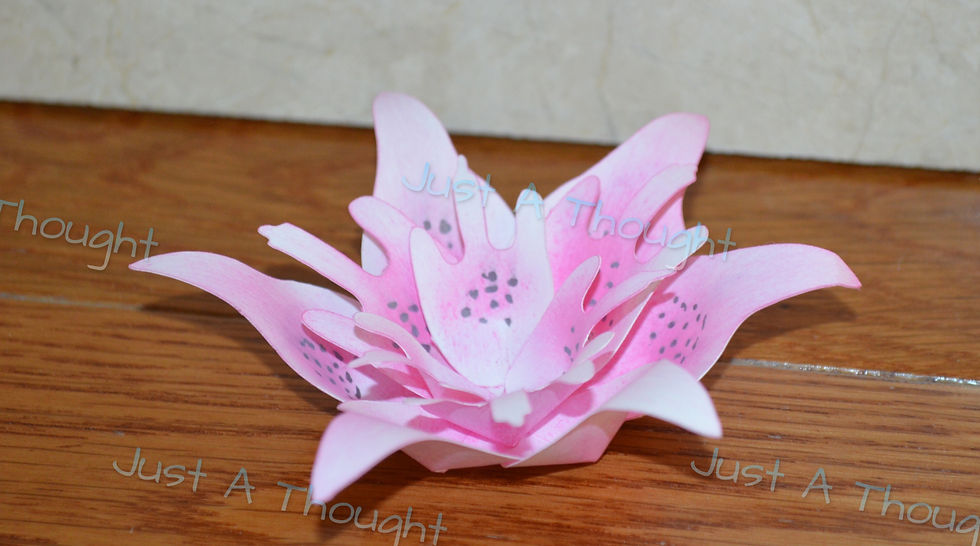 Thumbnail: Lily Flower