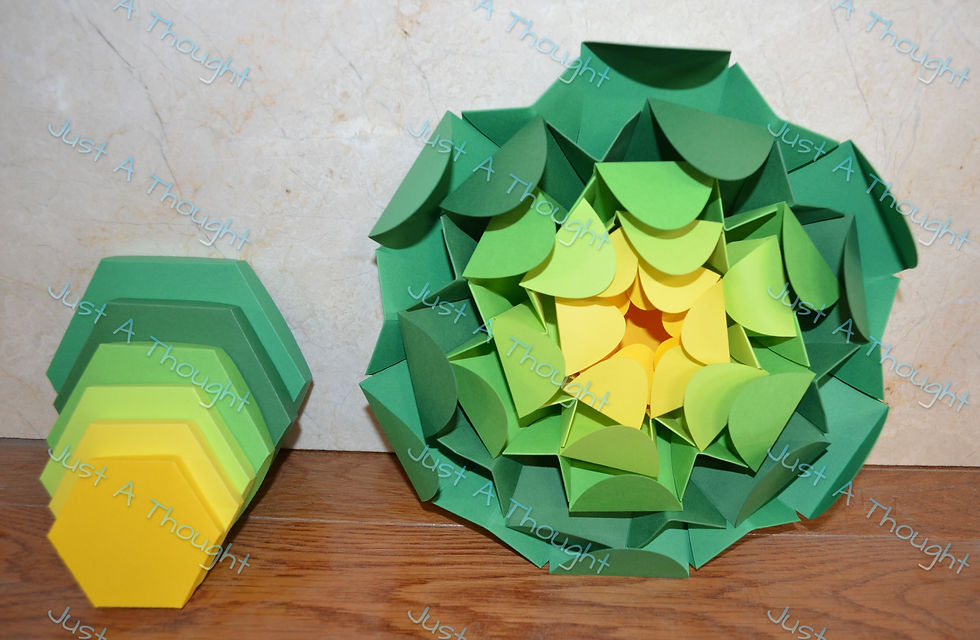 Thumbnail: Explosion Box Flower