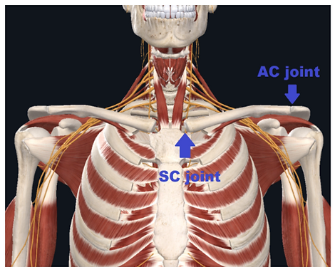 Neck Pain Relief Austin Pflugerville Neck Shoulder Pain Treatment