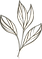 花4