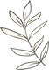 花2