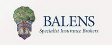 Balens – specialist insurance brokers for health and wellbeing professionals.