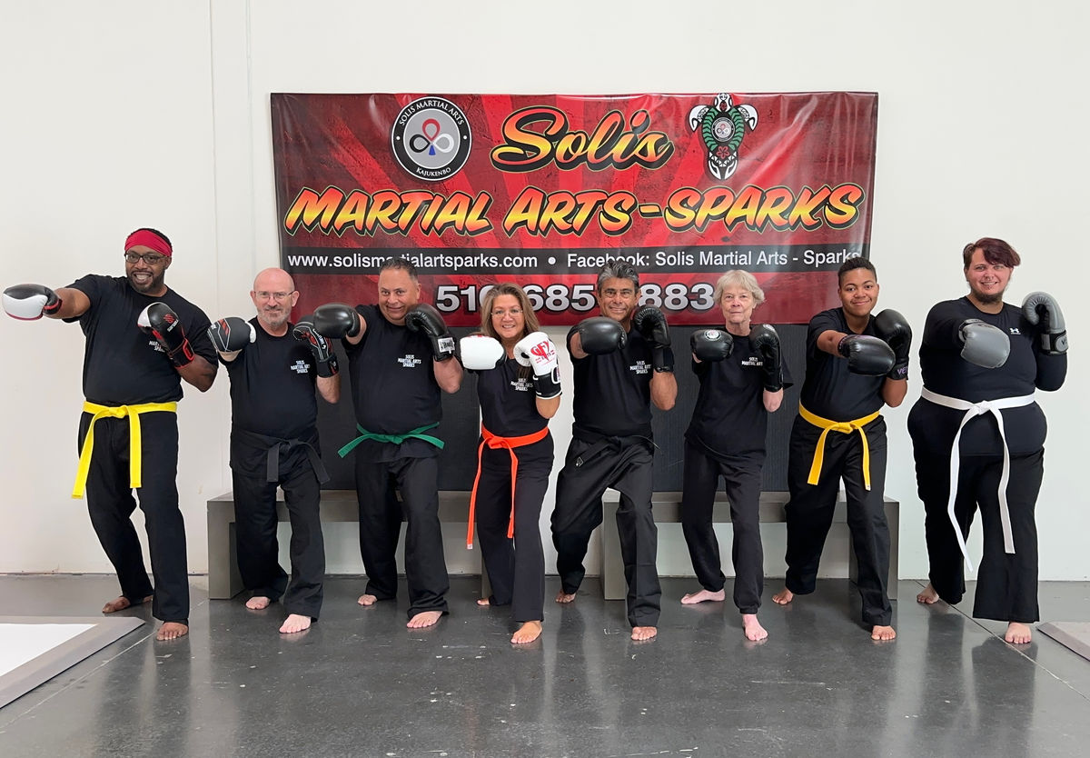 Solis Martial Arts Sparks