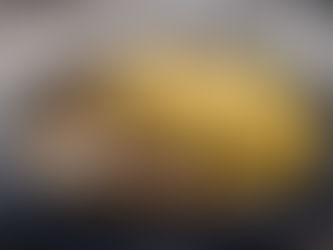 Steak d'agneau aux escargots... Quelle belle soirée !