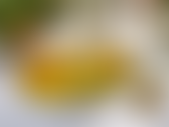 Gratiné aux escargots