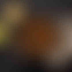 Moules à la bisque de langoustines