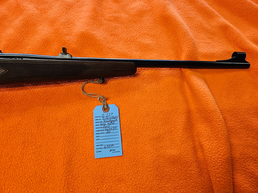 Thumbnail: Zastava MDL M85