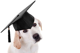 AdobeStock_102643402.jpeg