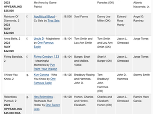 Prairie Meadows Gold Futurity