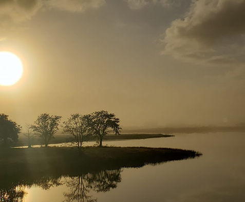 foggy morning