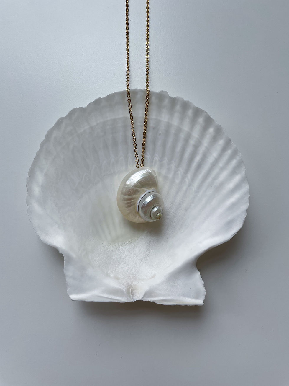 Thumbnail: Oversized turbo seashell necklace in stainless steel gold