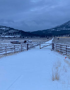 Pipe Fence