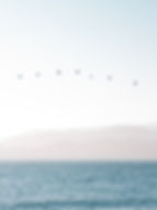 background image for mindflow psychology homepage