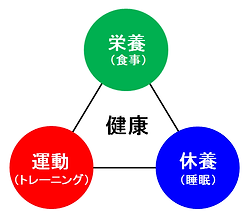 健康の三要素.png