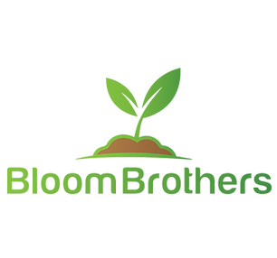 bloom brothers.png