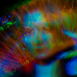 Portraits